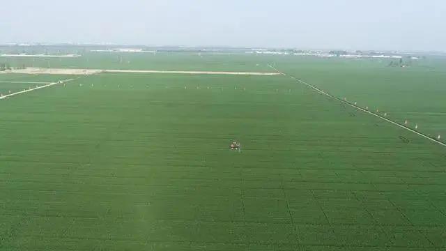 無人蔬菜基地