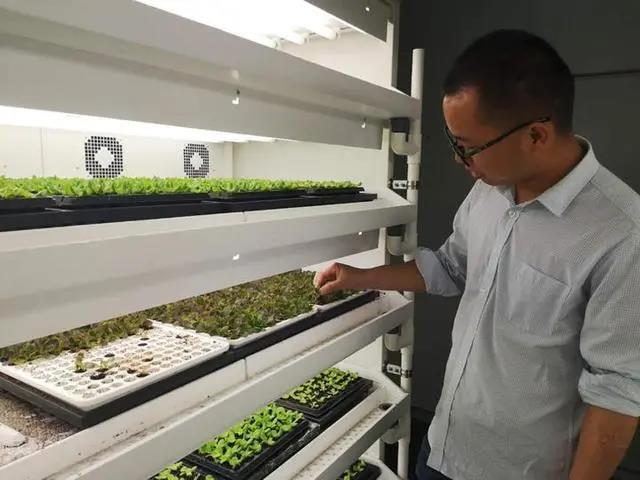 國產(chǎn)無人蔬菜種植設(shè)備