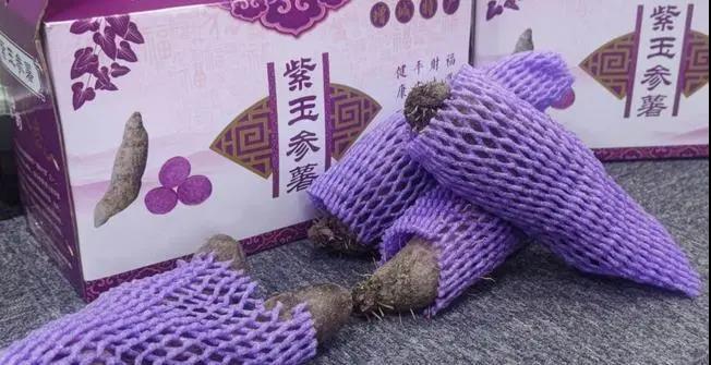 康樂福紫署