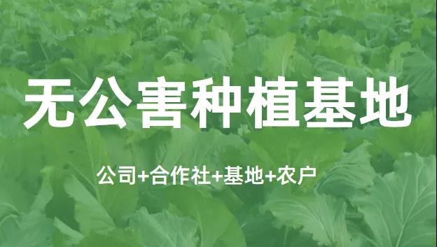 無公害基地.jpg
