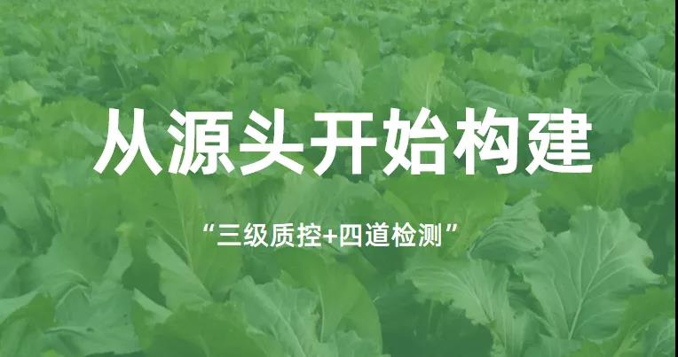 康來福源頭構(gòu)建