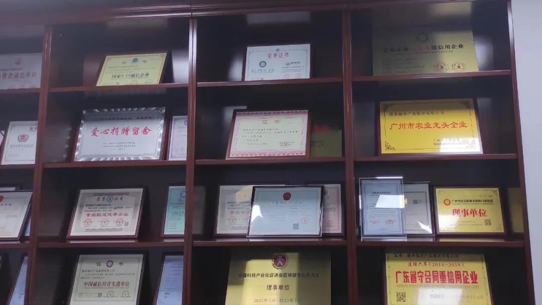 康來福榮譽(yù)墻