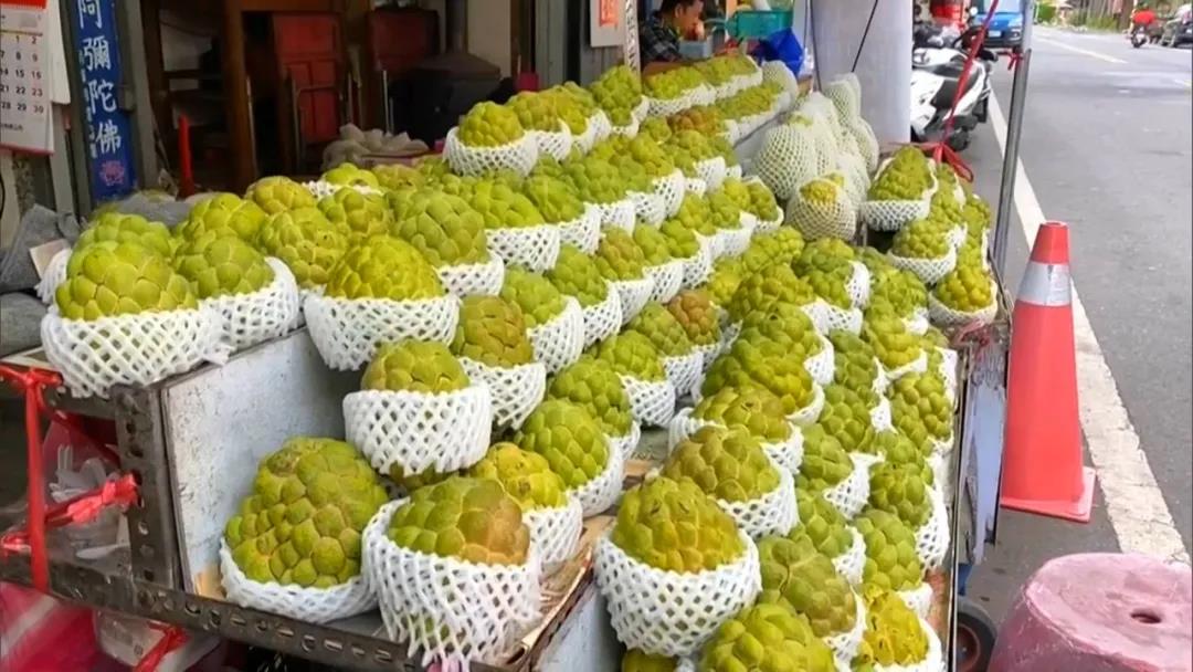 世家