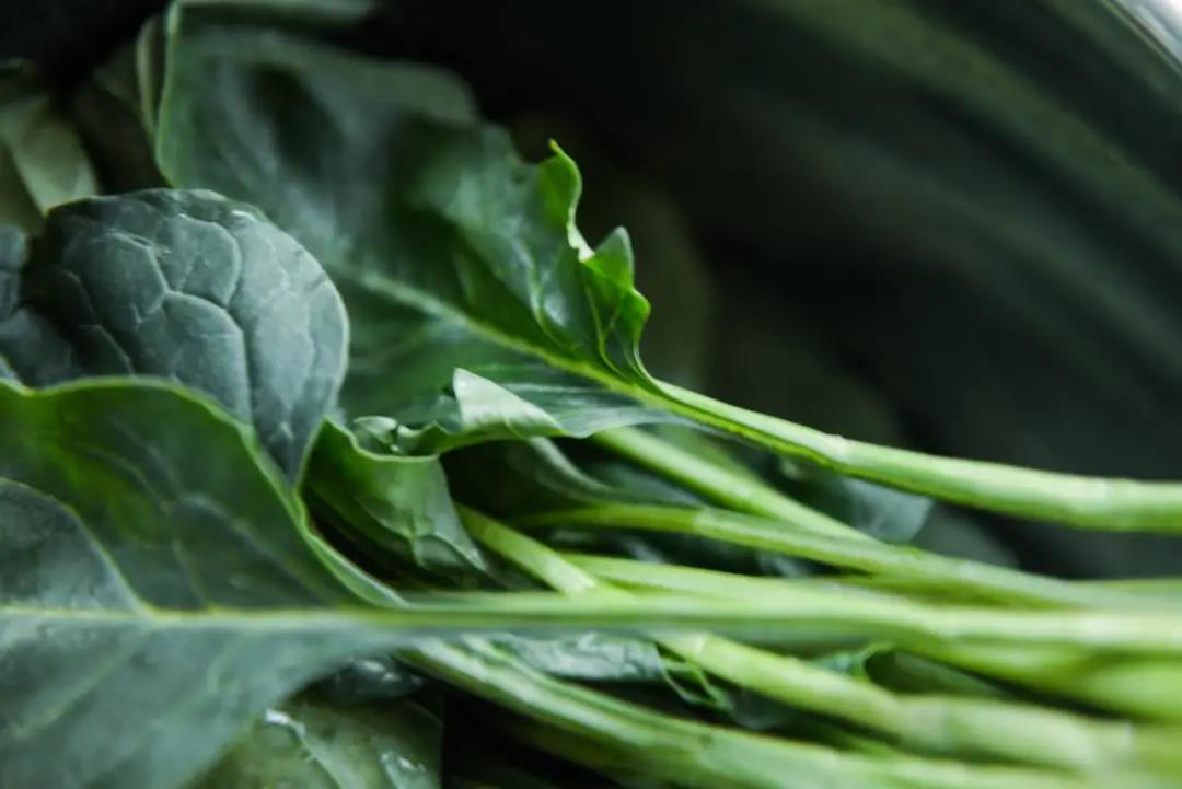 新鮮蔬菜