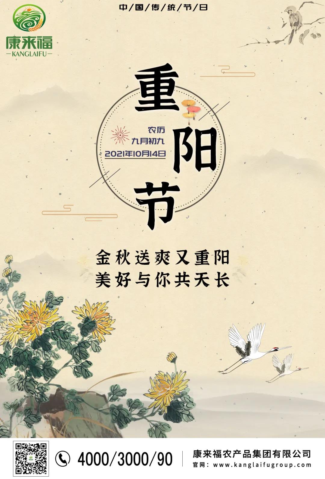 重陽節(jié)海報.jpg