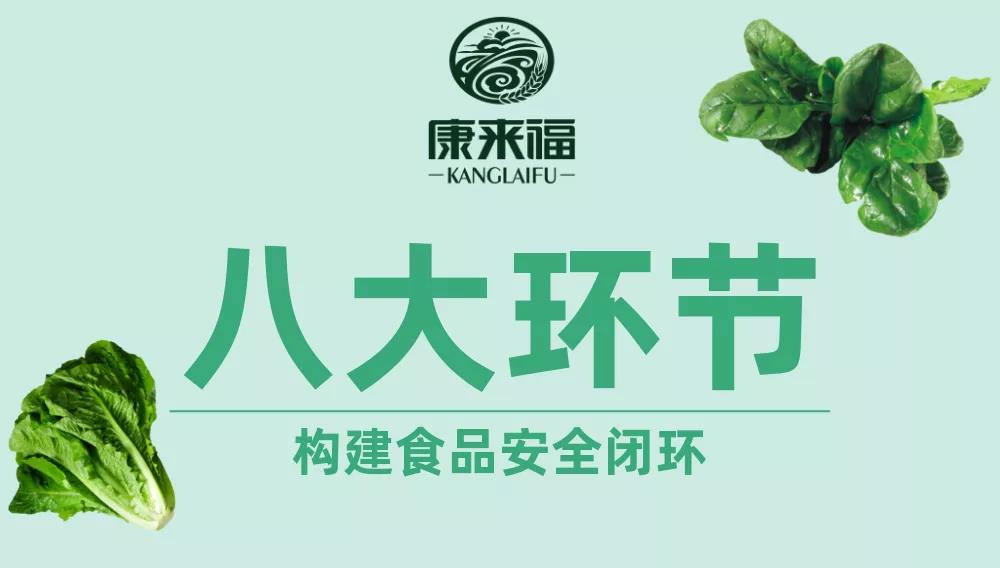 康來福八大環節說明 (1).jpg