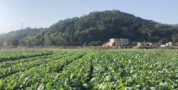 廣州增城基地