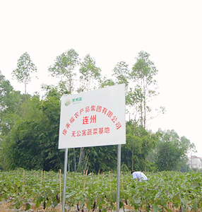 連州市基地