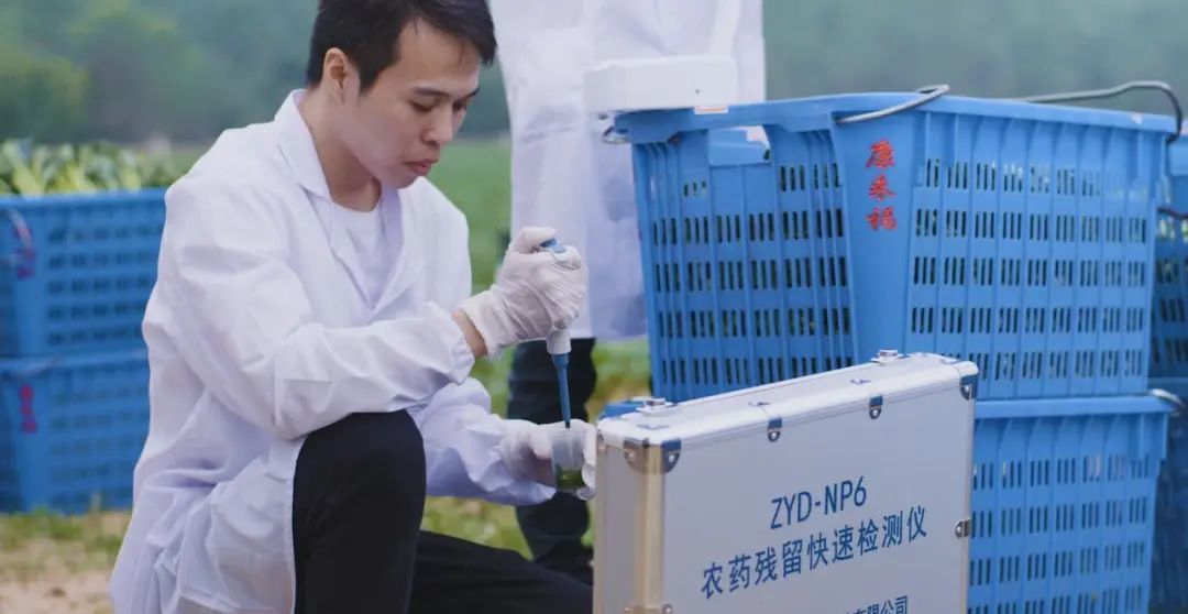 康來福集團農產品檢查