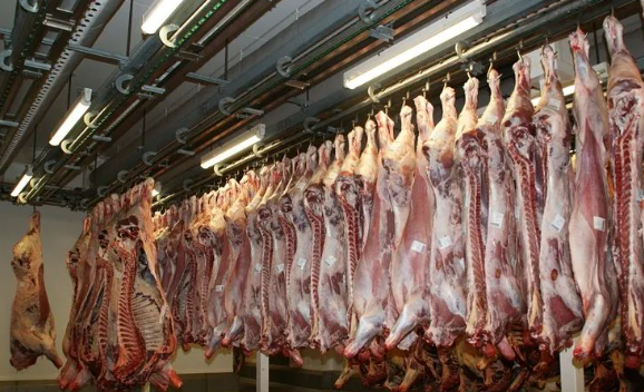 肉類屠宰場